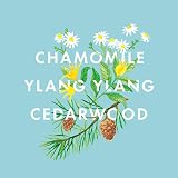 Neom Bedtime Hero Essential Oil Blend 10ml Chamomile Ylang Ylang Cedarwood view 3