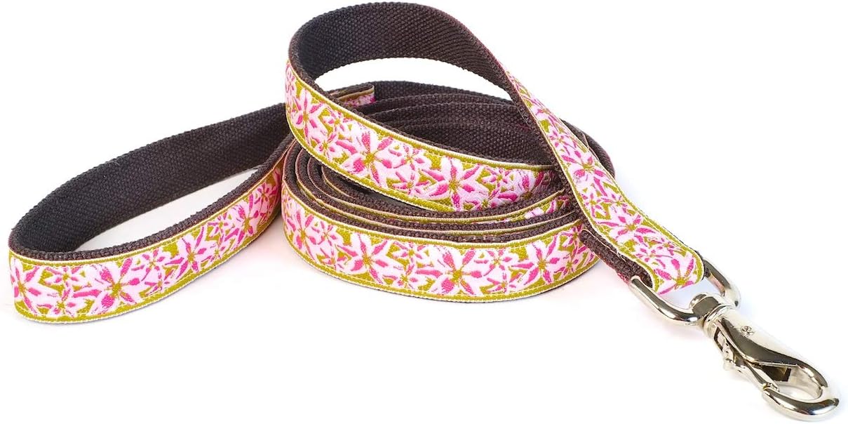 earthdog collars