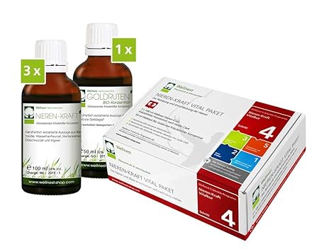 Wellnest Nieren-Kraft Detox-Kur-Paket (Entgiftungs-Kurpaket für 30 Tage Nierenreinigung nach Hulda Clark) - 100% pflanzlich -