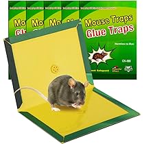 Catchmaster Piège Souris 4X | Solution Efficace Anti-Rongeurs | Colle Pré-Appâtée | Collant Pour Insectes | Adhésif Puissant