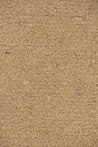 SoxsolS Machine Washable Dryer Safe Wool Flat Insert for Sockless Shoes for Women - //medicalbooks.filipinodoctors.org