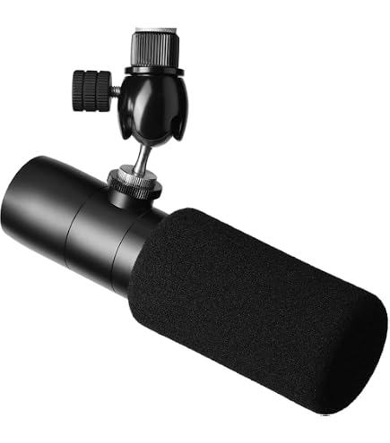 Aston Microphones Stealth Broadcast qualidade cardioide Condenser