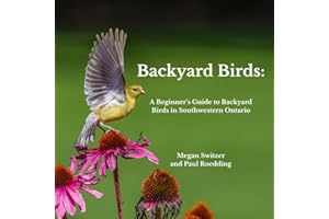 Backyard Birds: A Beginner's Guide to Backyard Birds in Southwestern Ontario