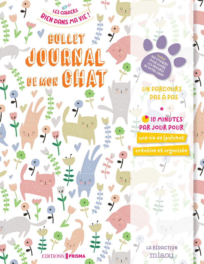 Bullet Journal De Mon Chat Bien Dans Ma Vie French Edition Collectif Amazon Com Books