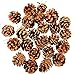 Coobey 24 Pieces Pine Cones Ornament Natural PineCones With String Pendant Crafts for Gift Tag Tree Party Hanging Decoration (Natural)