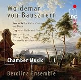 CHAMBER MUSIC 1 (CD / SACD)                        image