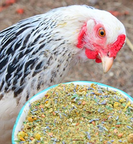 Pampered Chicken Mama Backyard Chicken Nesting Herbs Scent Of