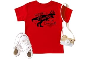HRCFBK Kids Toddler Baby Girls Boys Valentine's Day T-Shirt Short Sleeve Love Heart Dinosaur Cotton Tops