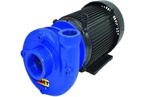 AMT PUMPS AMT Pump 3150-95 Heavy Duty Straight Centrifugal Pump, Cast Iron, 2 HP, 3 Phase, 230/460V, Curve A, 2" NPT Female Suction, 1-1/2" NPT Female Discharge Port