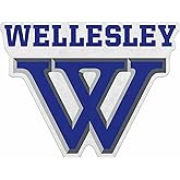 Rico Industries NCAA Wellesley Blue Shape Cut Pennant - Home and Living Room Décor - Soft Felt EZ to Hang