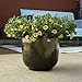 Round Moonstone Planter, Brown, 12-Inch