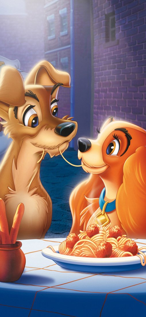PeelitStickit The Lady and The Tramp, vinyl
