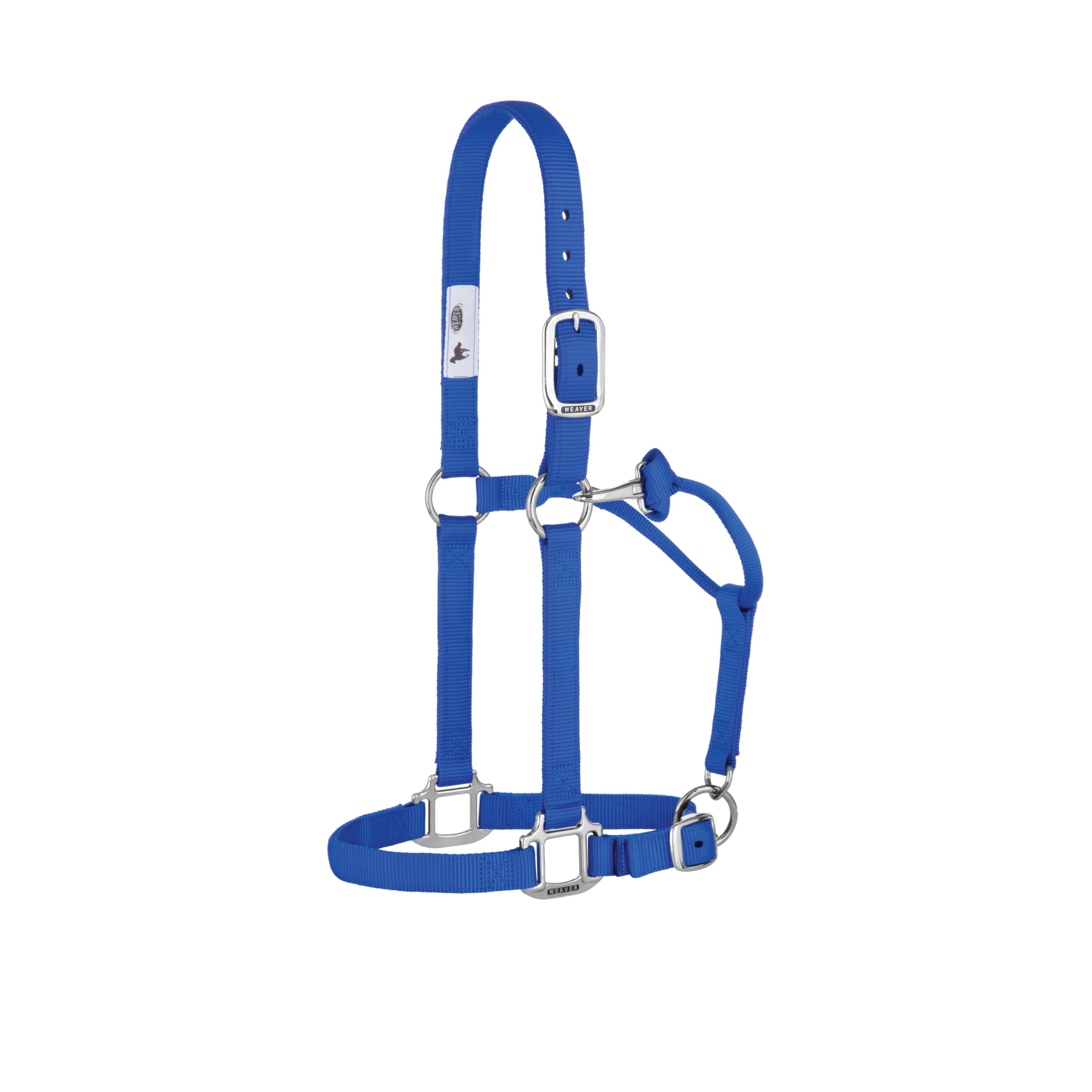 Weaver Leather Original Non-Adjustable Nylon Horse Halter, Blue, Yearling