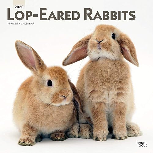 Download Lop-Eared Rabbits 2020 Calendar PDF