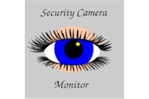Security Camera Monitor