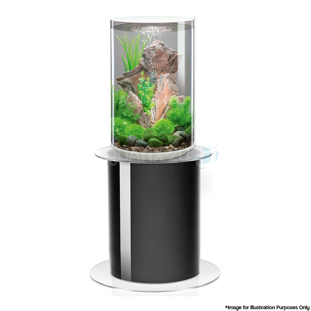 Are Tower & Column Aquariums A Good Choice? Aquatics World