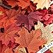 SunAngel Package of 300 Assorted Rich Fall Colored Silk Maple Leaves for Weddings, Events and Decorating