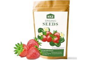 KCT GARDEN Strawberry Seeds for Planting, Pack of 2000+ Fruit Seeds, Strawberry Seeds for Hydroponic Garden