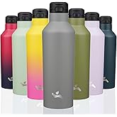 Insulated Water Bottle with Straw,25 OZ Double Wall Vacuum Stainless Steel Water Flask with 2 Lids,Grey