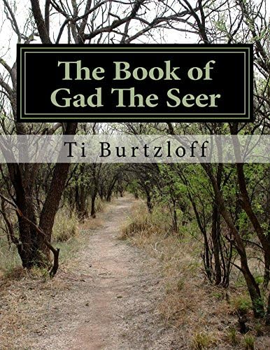 The Book of Gad The Seer (The Two Witnesses (Nathan The Prophet and Gad The Seer) 2)