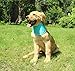 PUPTECK Dog Cooling Bandana Ice Chill Out Scarf for Summer Large