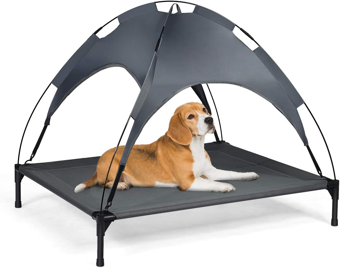 raised dog bed with canopy