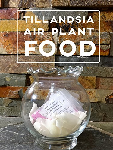 Bromeliad Tillandsia Fertilizer || AirPlant Food || 17-8-22 (12- Month Supply || ~0.8 oz)