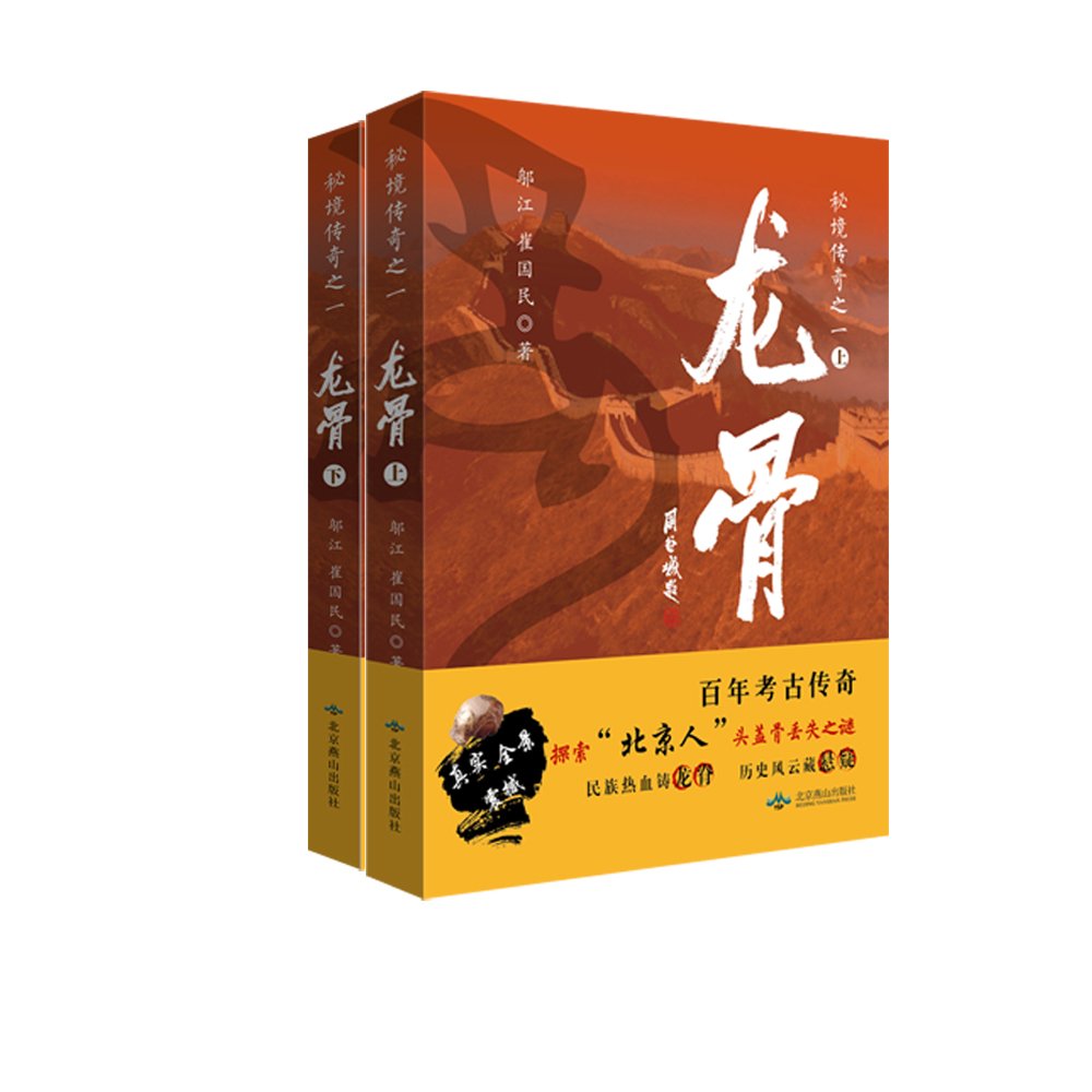 龙骨 套装上下册 Amazon Co Uk 邬江 崔国民 Books