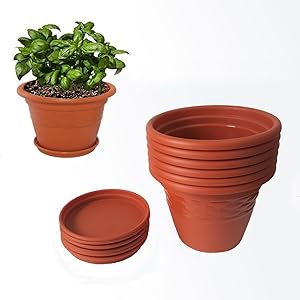 Meded Siti Plast 10 Inch Plastic Planter Pots With Bottom Tray (Pack Of 6) Colour - Terracotta