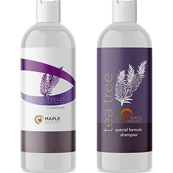 Amazon Com Tea Tree Oil Shampoo And Hair Conditioner Set