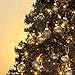 Sea Team Shatterproof Clear Plastic Christmas Ball Ornaments Decorative Xmas Balls Baubles Set with Stuffed Delicate Decorations (70mm/2.76 inch 24-Pack, Black)