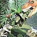 Longshow High Simulation Dinosaur - Hot Large Indominus Rex Dinosaur Toy Jurassic World Dinosaur Figure Blocks Static Dinosaur Figures Decoration Raptor Toys Set CE