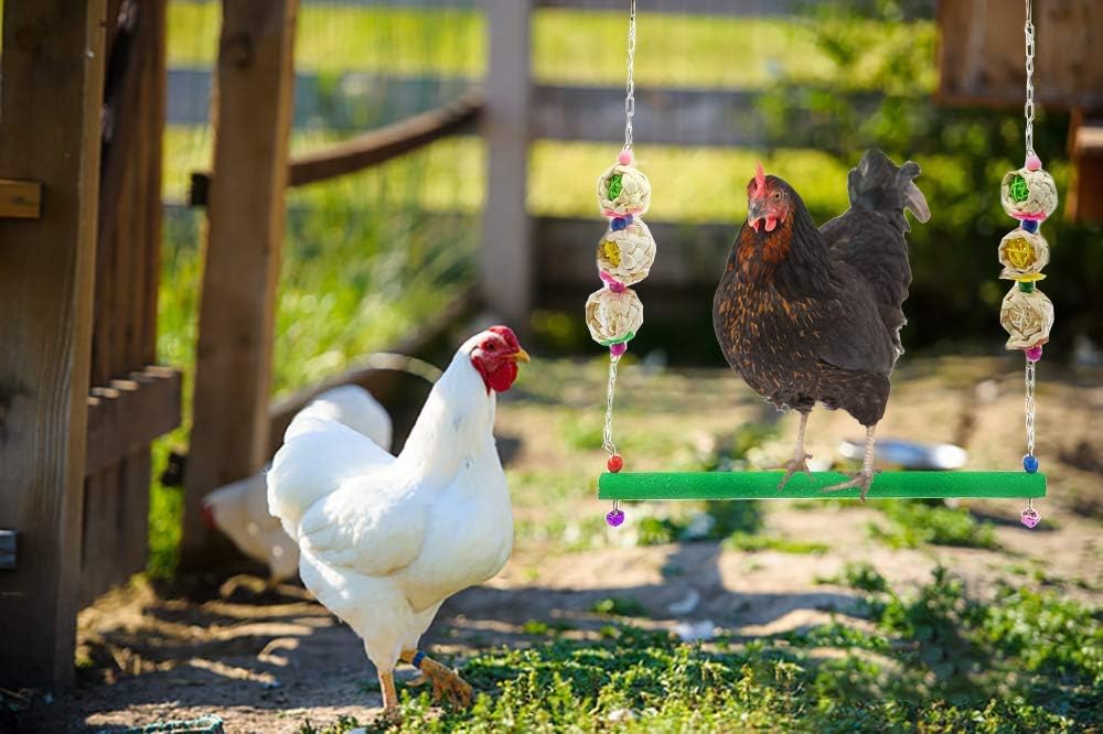 Hühnerspielzeug