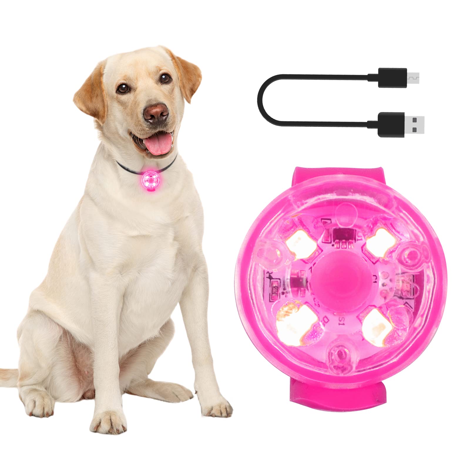 PowBear Lights for Dog Collars - 100% Waterproof - USB Rechargeable - Ultra Bright LED Collar Safety Light for Night Walking, Running, Biking - Pink