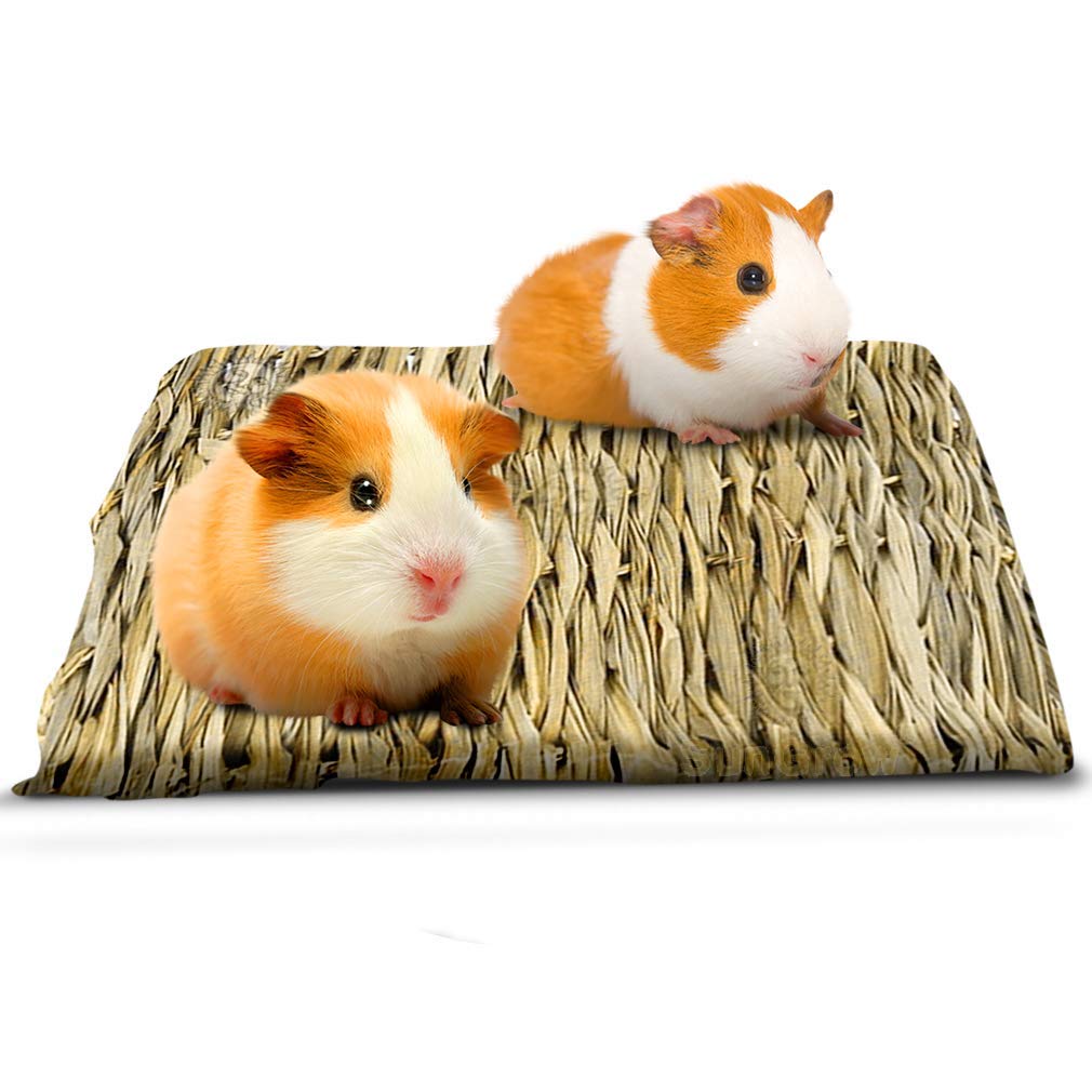 SunGrow Seagrass Guinea Pig Mat, Protect Paws from Wire Cage, Treat Sore Hocks, Handmade Woven