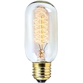 Rolay 25W Vintage Edison Light Bulbs, Incandescent, Warm Light, 1 Pack | Clear Glass, T45, 110-130 Volts, E26/E27 Base, Antique Old Fashioned Bulbs, Low Light than Normal Light Bulbs