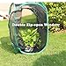 Qingo Collapsible Insect and Butterfly Habitat cage Terrarium Pop up open - 23.6 Inches Tall (White) (Black)