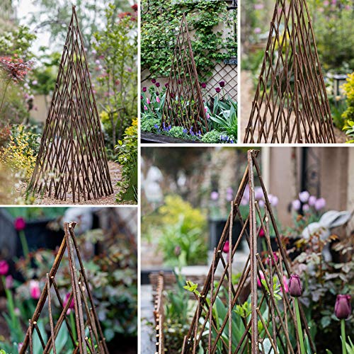 CJSWT Rankgerüst - Rankturm als Rankhilfe - für Kletterpflanzen, Rosen, Efeu und Clematis,Willow Expandable Anlagen… – Bild 6