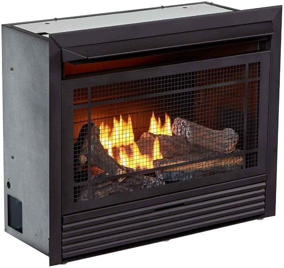 Dual Fuel Ventless Insert 26,000 BTU TStat Control Gas