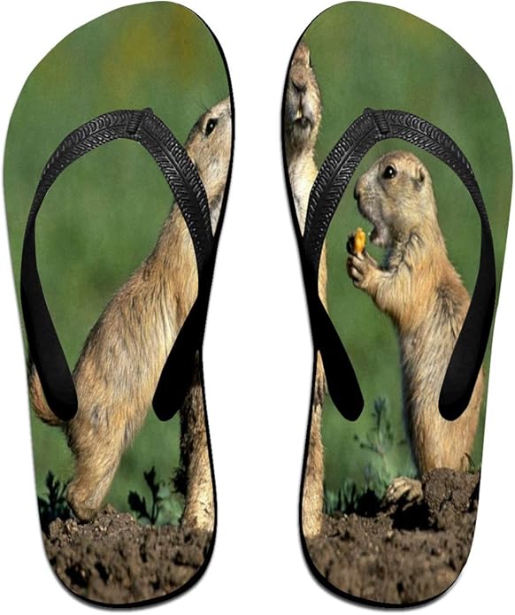 animal flip flops womens size 7