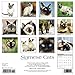 Siamese Cats 2018 Calendar