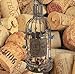 Beaut Products Cork Cage Wine Bottle, 14.25-Inch