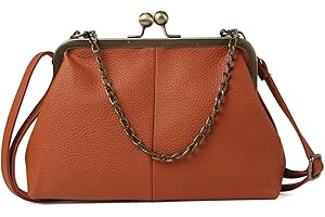 Lanpet Women Classical Kiss Lock Clutch with Chain Strap Shoulder Bag Purse Wallet