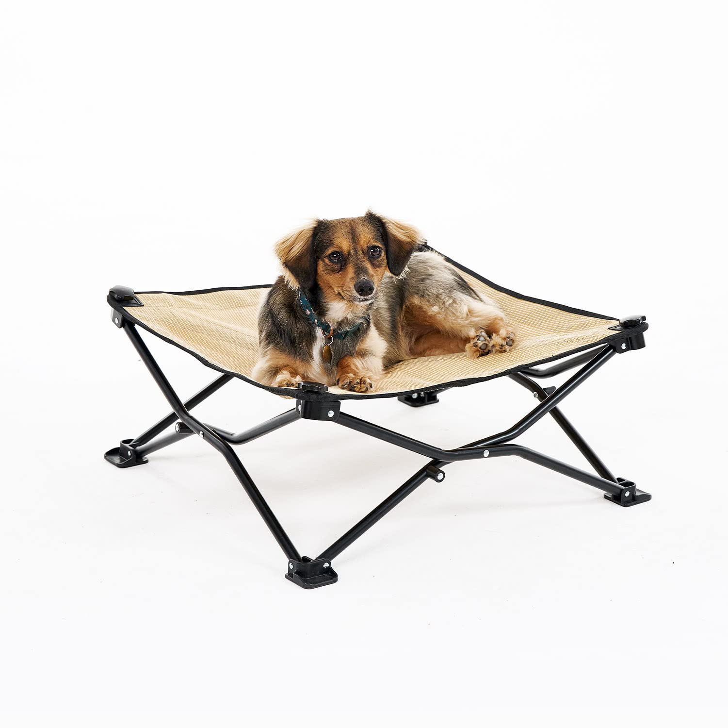 Coolaroo On-The-Go Elevated Dog Bed - Foldable Pop-Up Travel Dog Bed with Breathable, Moisture-Resistant Fabric, Carry Bag Included, Lightweight & Portable, Desert Sand, Standard Image