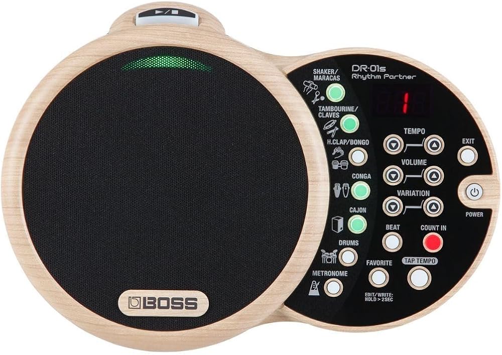 BOSS Dr-01S Rhythm Partner for Acoustic Musicians