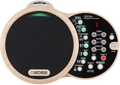 BOSS Dr-01S Rhythm Partner for Acoustic Musicians
