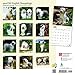 Old English Sheepdogs 2018 Calendar