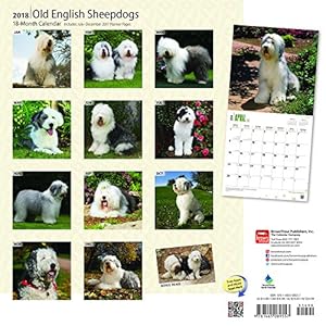 Old English Sheepdogs 2018 12 x 12 Inch Monthly Square Wall Calendar, Animals Dog Breeds (Multilingual Edition)