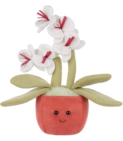 Amazon.com: Apricot Lamb Succulent Potted Flower Chomper Plant