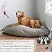 SunGrow Pretty Purple Pet Water Dispenser Bottle BPA Free, Rust Proof, Leak Proof - Dripless Stainless Steel Pipe - Keep Puppies, Cats, Bunnies and Other Small Animals hydrated: Easy to Install